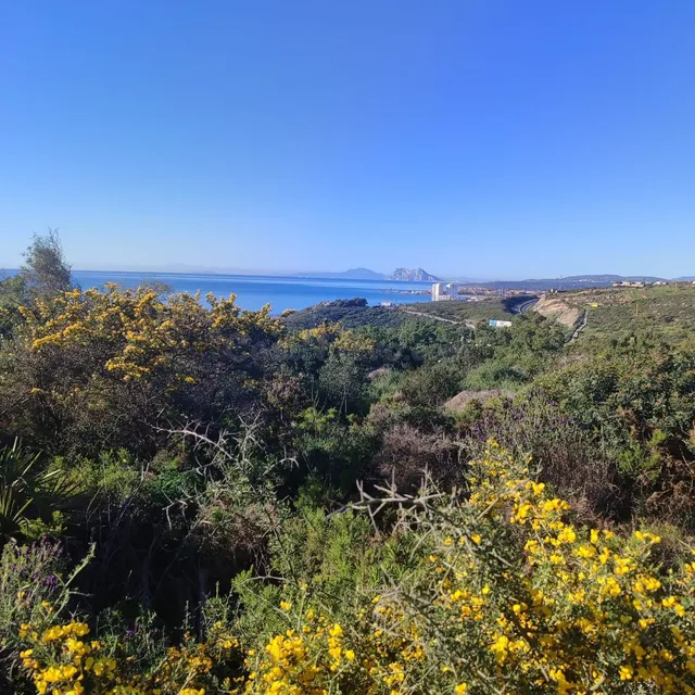 Parcela en venta - Torreguadiaro-San Diego