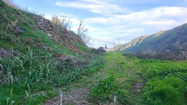 Terreno rural en venta - La yedra gran canaria — 17