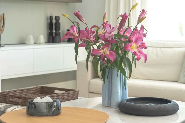 Chalet 5 habitaciones 488m² en venta - Marbella — 6
