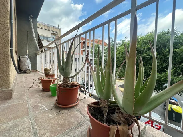 Piso de 4 habitaciones y balcón en Ca N'Oriac, Sabadell - ¡T