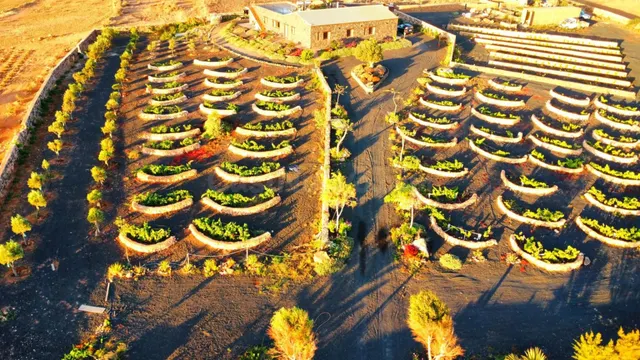 Finca de Lujo con Viñedo, Bodega Subterránea y Vistas Panorámicas al Atlántico — Fuerteventura — 4