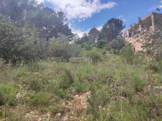 Terreno Urbano Urb. La Serreta — 6