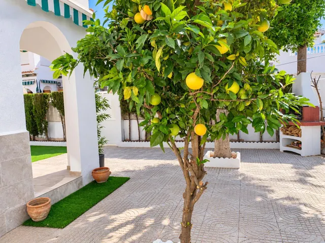 Tu rincón de sol en la mata: bungalow recién reformado con amplio jardín orientado al sur y a solo 450 metros de la playa — 22