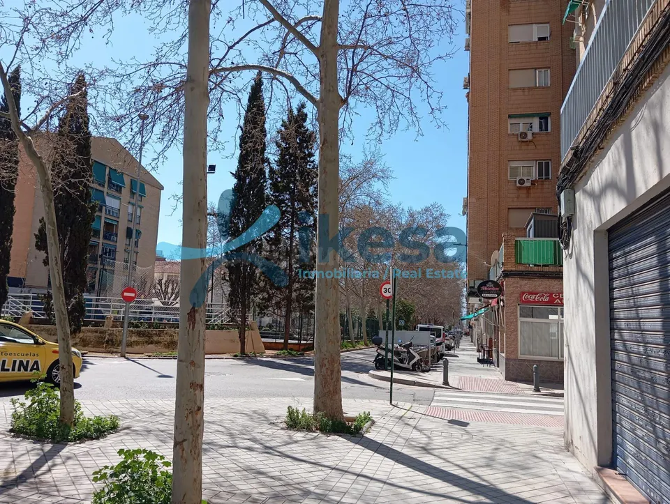 Amplio Piso de 3 habitaciones en La Chana, Granada