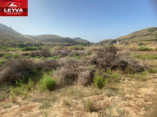 SE VENDEN DOS PARCELAS RUSTICAS DE 80000 Y 40000 M2 EN EL JU - foto 5
