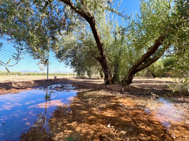 ALBOLOTE - PANTANO CUBILLAS - foto 4