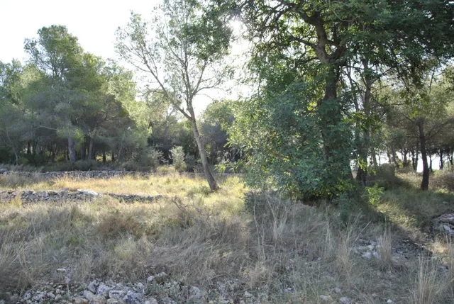 Parcela Rústica en el municipio de Cubelles, 5.560 mts2 Corral d'en Cona — 20
