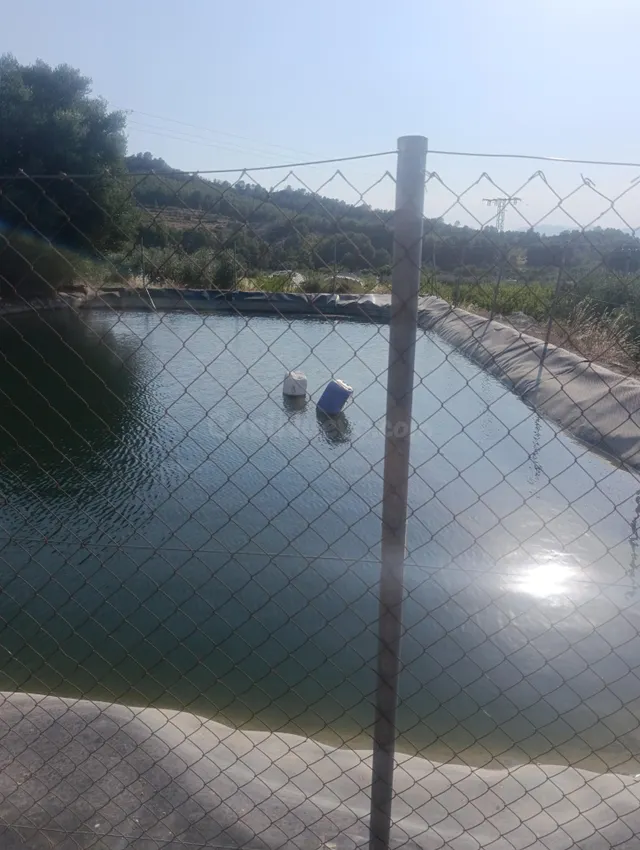 Casa rústica con porche y patio en Paraje Retamar, Cehegín – - foto 2