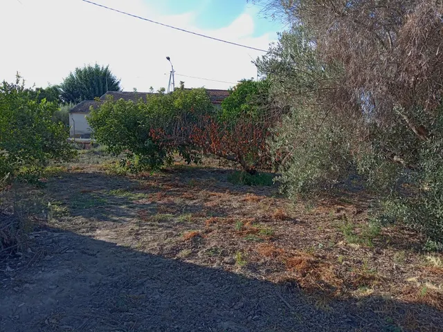 Dos casas por el precio de una, con huerta en Las Torres de Cotillas — 11