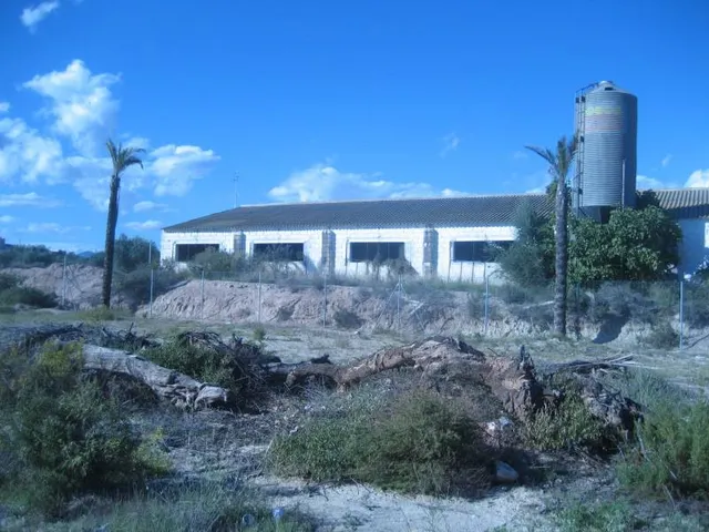 Solar Urbano de 5900 m2 con una nave- almacén de 843 m2 en s - foto 4