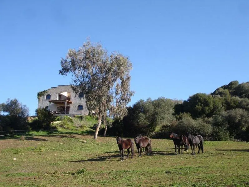 M-7117 Casa de Campo en  Alaior