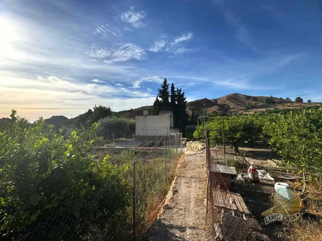 Maison dans les potagers de Ricote — 22