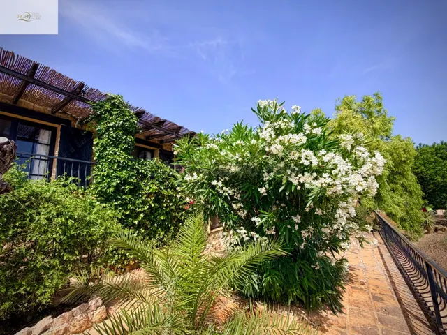 SE ALQUILA CASA RUSTICA CON VISTAS PANORAMICAS POR TEMPORADA - foto 4