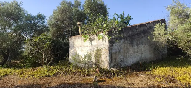 FINCA RÚSTICA CERCA DE LA POBLACIÓN DE AMPOSTA CON ANTIGUA E - foto 3