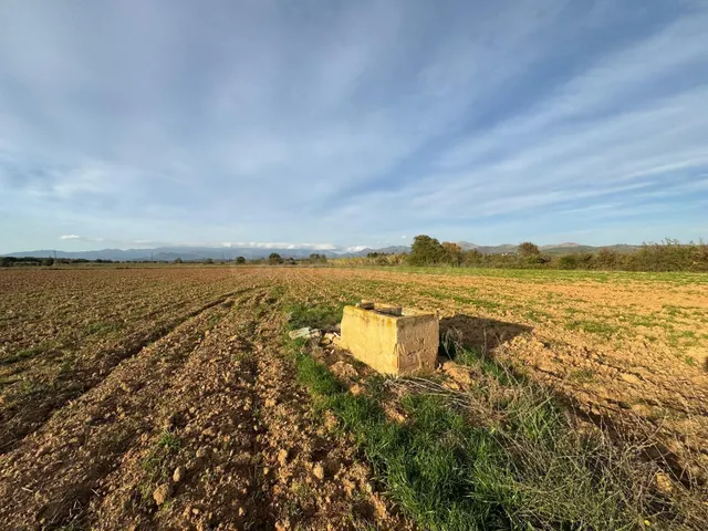 Terreno rústico de 23.000 m2 en Garriguella – Un entorno nat