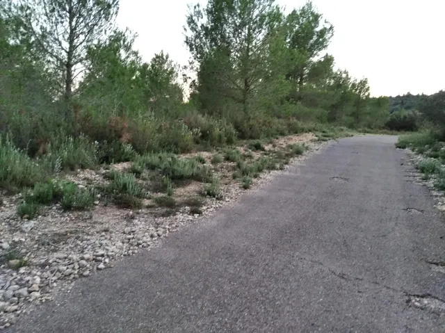 FINCA RUSTICA EN TORRE ENDOMENECH - foto 2