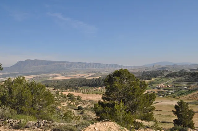 Parcela en venta - Jumilla - foto 2