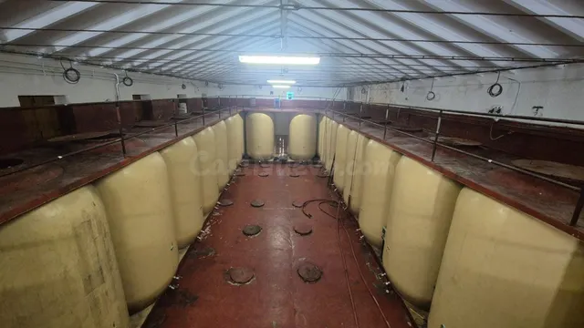 BODEGA VENTA PEREÑA DE LA RIBERA. Urbis te ofrece una bodega - foto 4