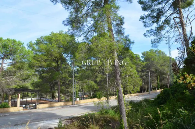 AMPLIA PARCELA EN EL CORAZON DE MAS MESTRE, EN OLIVELLA — 10