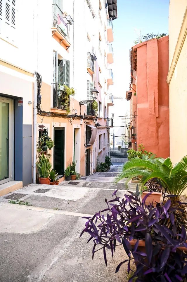 Planta baja 3 habitaciones 63m² en venta - Foners — 19