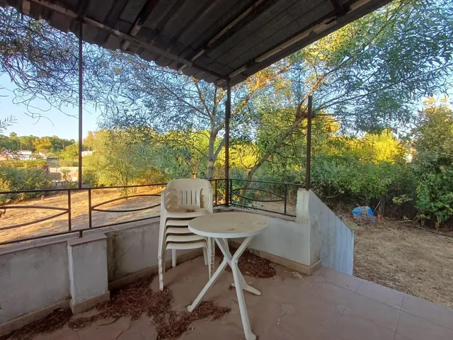 FINCA RÚSTICA A 1 KM DE LA PUEBLA DEL RÍO – 3.300 m2, VIVIEN - foto 5