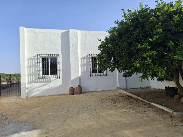 CORTIJO EXPLOTACION AGRARIA Y OLIVAR EN PRODUCCION FRENTE A LA BARROSA — 9