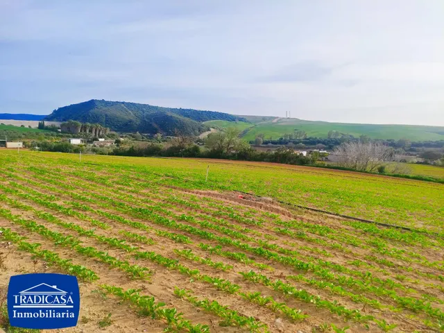ARCOS DE LA FRONTERA,  PARCELA A PIE DE CARRETERA DE 17.900 M2 — 4