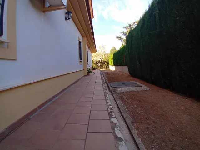 Chalet independiente en Santa Ana de la Albaida ! — 38
