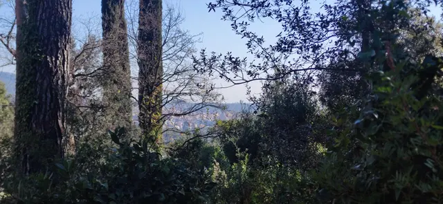 TERRENO EN VENTA, EN SANT FELIU DEL RACÓ — 2