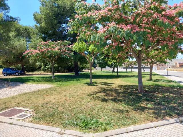 Parcela en venta - Escoles — 12