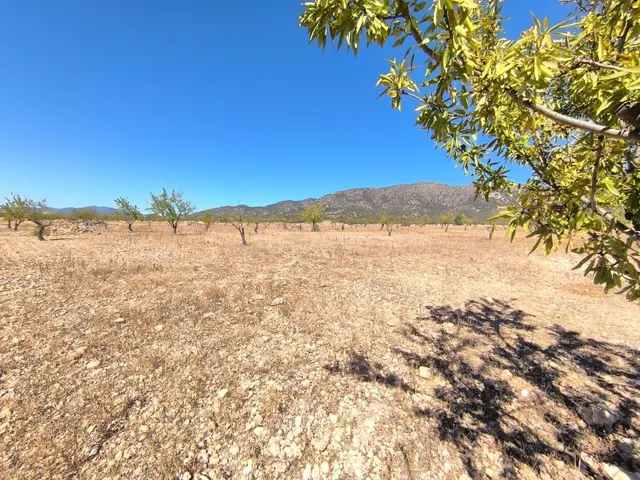 Parcela en venta en Monóvar, Comunidad Valenciana