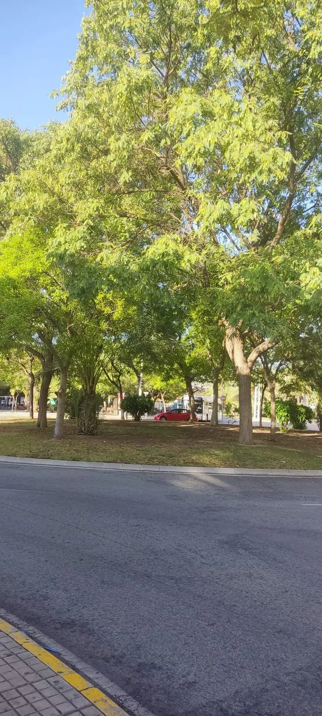 PLAZA DE PARKING EN ZONA NUEVA DEALTABIX EN ELCHE — 3