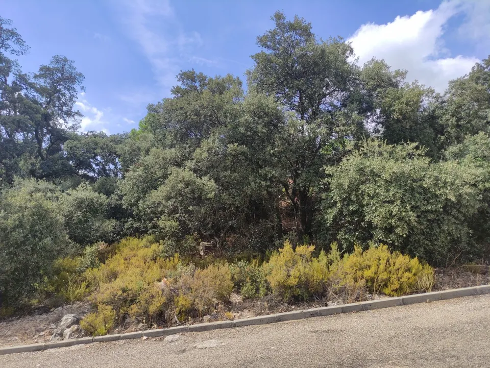 EN VENTA PARCELA URBANA EN URBANIZACIÓN LAS FUENTES DE FUENTENOVILLA (GUADALAJARA)
