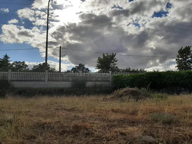 Terreno en el Monte del Casar - foto 4