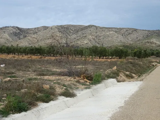 Finca rústica en producción!! Con posibilidad de construir!! — 7