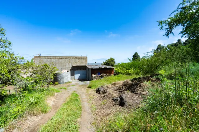 Finca con vivienda y viñedos en Icod de los Vinos — 8