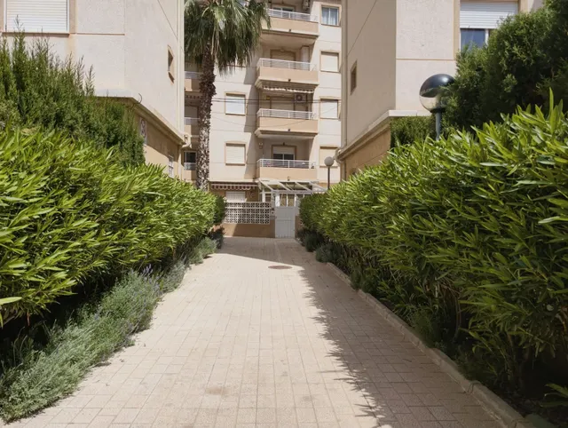 Apartamento reformado con piscina comunitaria, Alicante, Torrevieja. 3 habitaciones | 60 m2 | A 300 metros del mar — 27