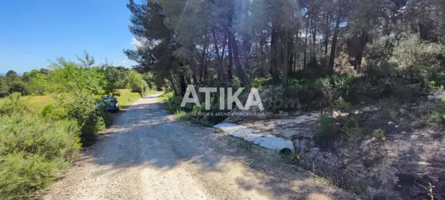 FINCA RUSTICA PARA REHABILITAR - foto 2