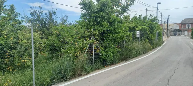 Se vende parcela edificable en la pedanía de la Raya - foto 3