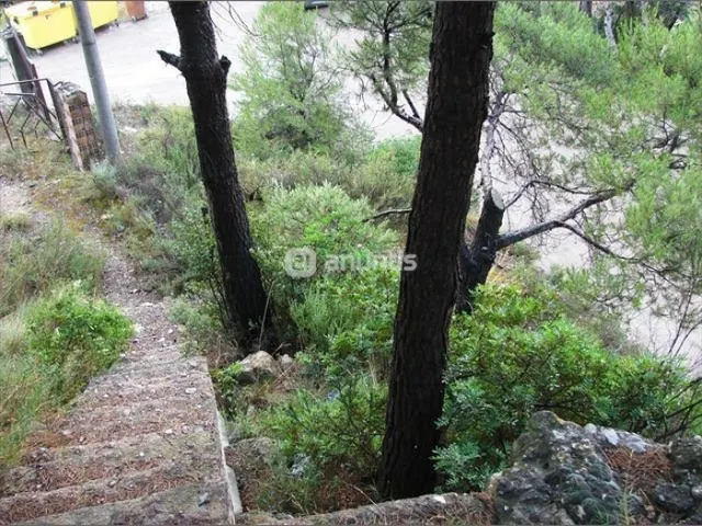 Parcel·la en venda a Monistrol de Montserrat — 19