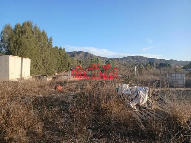 ¡¡ OCASIÓN INVERNADERO EN ASPE !! — 18
