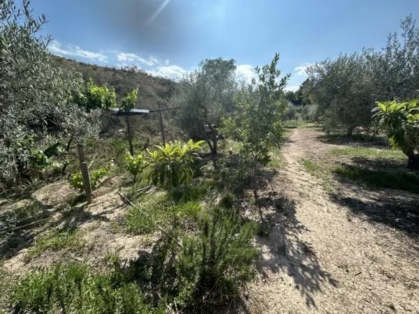 Parcela de terreno Rural cercana al casco urbano — 8