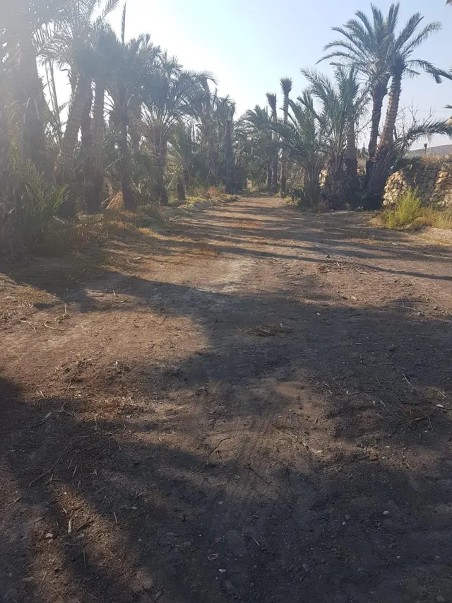 terreno para construir chalet — 15