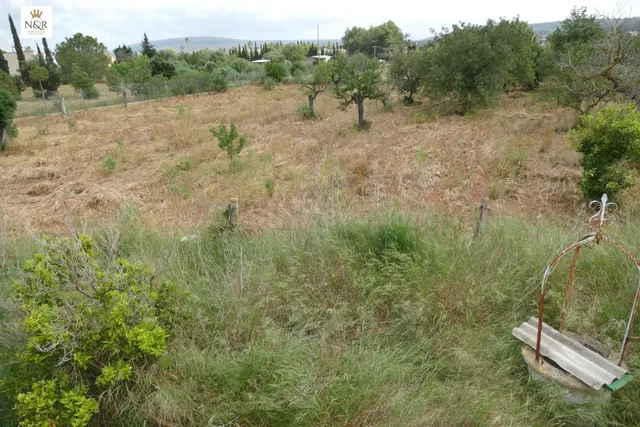 FINCA EN SANTA MARIA - foto 4