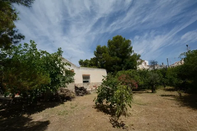 Solar Urbano de 940 m2. en la Murada (Orihuela), con casa de 95 m2. construidos para reformar — 12