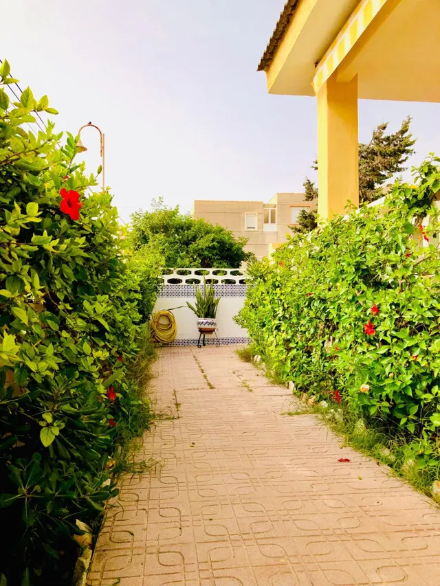 Villa privada con 6 habitaciones frente al mar en Guardamar playa. — 7