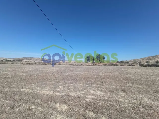 Terreno en Lorca (LERNA) - foto 5