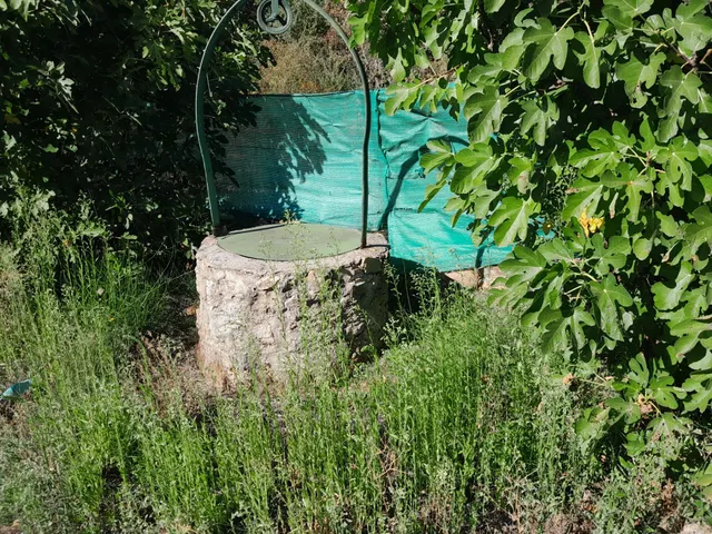 FINCA RUSTICA CON CASA DE APEROS EN CASTROPODAME — 22