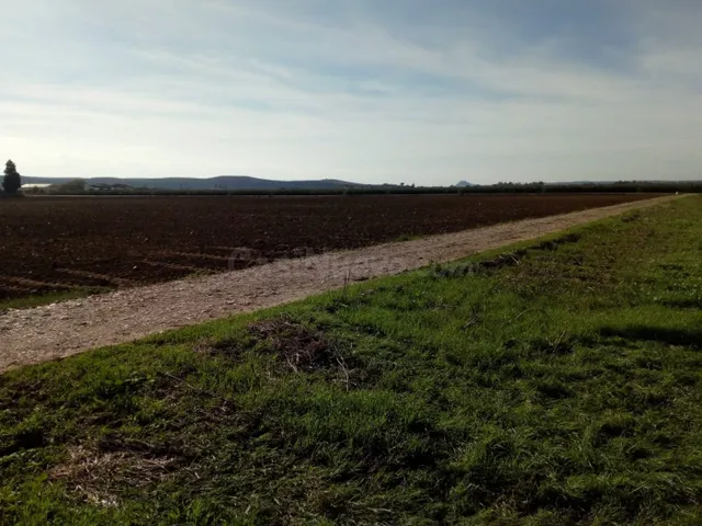 ZONA VILLARRUBIA - Finca rustica de 3 hectáreas con boca de  - foto 3