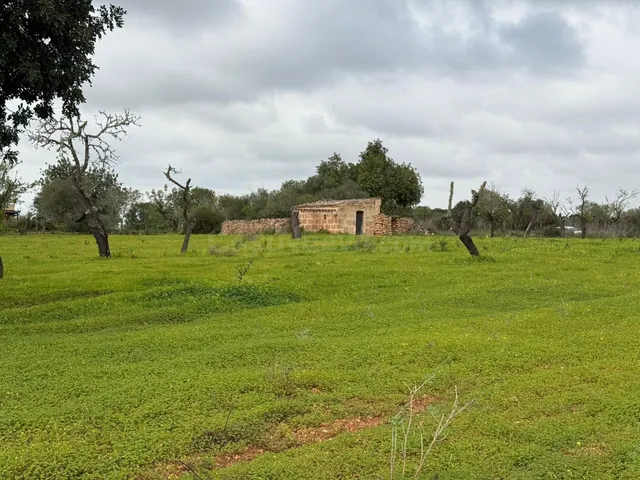 Terreno rústico de 38.493 m2 edificables en Llucmajor - foto 3